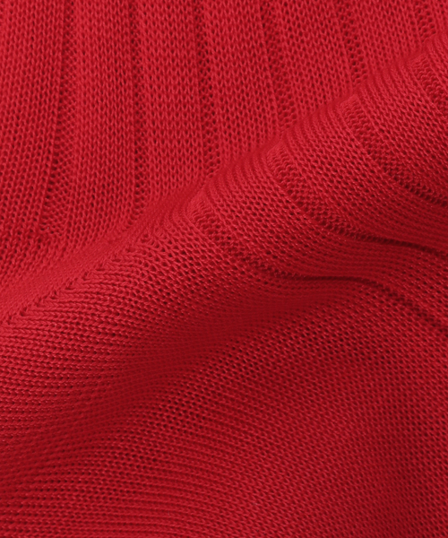 Bresciani（ブレシアニ）の「BRESCIANI ブレッシアーニ  別注リブソックス WD009UN0001（ソックス/靴下・レディース・グレー/チャコールグレー/ネイビー/レッド/キャメル/ホワイト・FREE）」の13枚目の写真