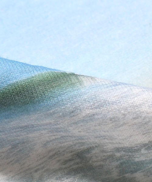 VANS（バンズ）の「VANS/ヴァンズ California Photo S/S T-Shirt 半袖Tシャツ（Tシャツ/カットソー・メンズ・ホワイト系その他2/ホワイト系その他/ホワイト・M/XL/L）」の10枚目の写真