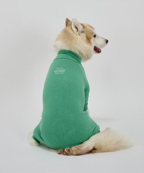 スキンタイトスーツ/中型犬・大型犬/3L/4L/5L（ペットウェア