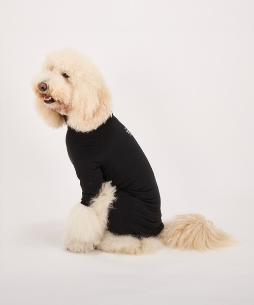 スキンタイトスーツ/中型犬・大型犬/3L/4L/5L（ペットウェア