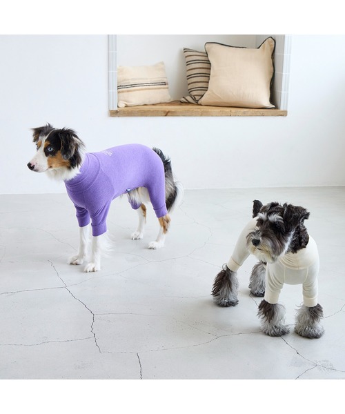 リアルヘッド　仁面犬　三郎　レアカラー スキンタイトスーツ/小型犬/M/MD/L（ペットウェア）｜MANDARINE