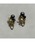 tone�i�g�[���j�́u�ymusk�z�l�C�r�[�J���[�̃R�b�g���p�[���C�������O(MA)�i�C�������O�j�v�b�l�C�r�[