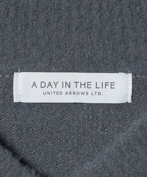 A DAY IN THE LIFE UNITED ARROWS(アデイインザライフユナイテッドアローズ)の「フワフワ Vネックニット <A DAY IN THE LIFE(ニット/セーター・レディース・コバルトブルー/ダークグレー/ライトピンク・FREE)」の21枚目の写真