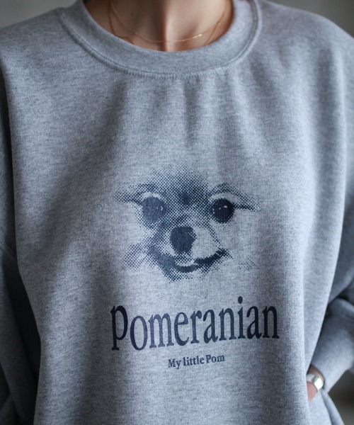 AKISHIKA design（アキシカデザイン）の「POMERANIAN sweat shirts（スウェット・メンズ・グレー・XL/L）」の4枚目の写真