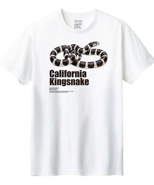 Moftique(モフティック)の「Moftique(モフティック) 半袖Tシャツ カリフォルニアキングスネーク 蛇 爬虫類 ペット アニマル プリント Tシャツ 半袖 トップス カットソー レディース 夏(Tシャツ/カットソー・レディース・ブラック/ホワイト・L/M)」の2枚目の写真