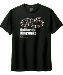 Moftique（モフティック）の「Moftique（モフティック） 半袖Tシャツ カリフォルニアキングスネーク 蛇 爬虫類 ペット アニマル プリント Tシャツ 半袖 トップス カットソー レディース 夏（Tシャツ/カットソー）」