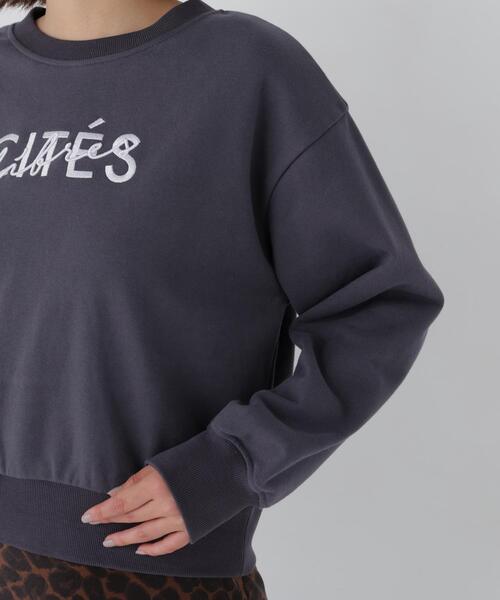 N.(N. Natural Beauty Basic)(エヌエヌナチュラルビューティーベーシック)の「ロゴ刺繍スエット(スウェット・レディース・グレー系その他/ホワイト系その他・FREE)」の13枚目の写真