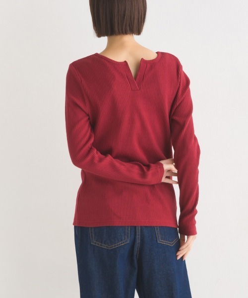 【新品未開封品】Dベアプルオーバー 後ろV開き リブカットソー プルオーバー（Tシャツ/カットソー