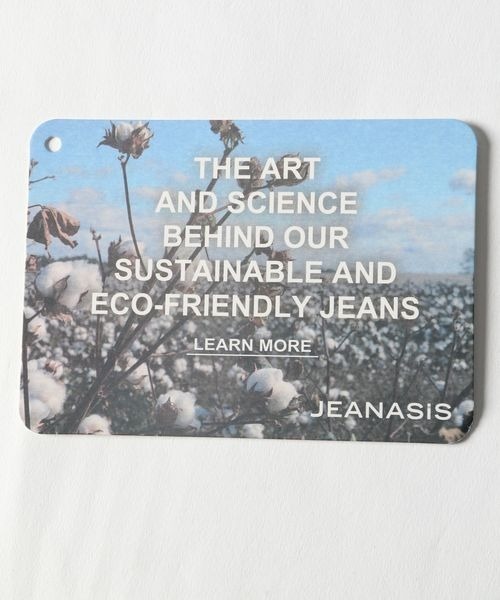 JEANASIS（ジーナシス）の「サスティナブルストレートクラッシュデニム/273145（デニムパンツ・レディース・ブルー・MEDIUM/SMALL）」の16枚目の写真