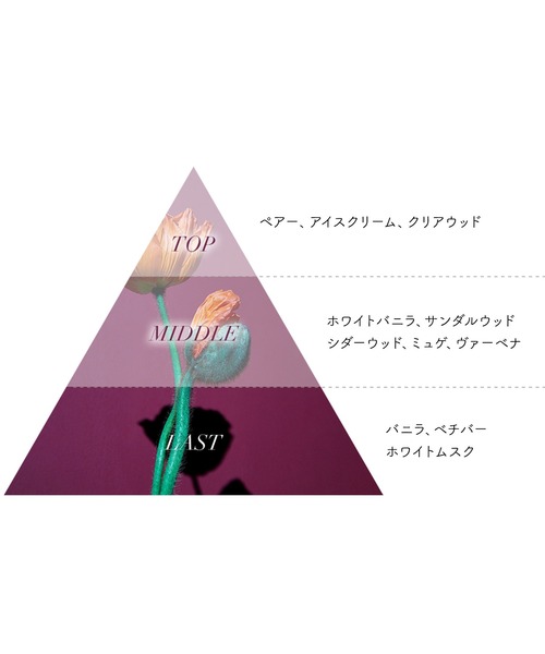 オードパルファン チャプター70 8mL（香水）｜Aiam（アイアム）の