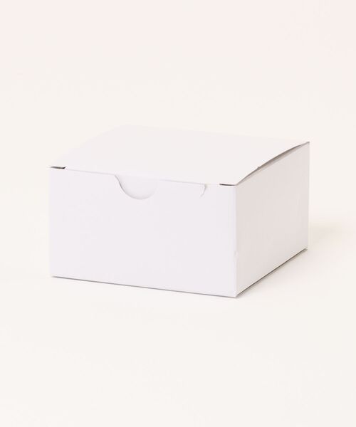 DIESEL(ディーゼル)の「ディーゼル アクセサリー メンズ ネックレス シルバー DX1626040(ネックレス・メンズ・シルバー・FREE)」の6枚目の写真