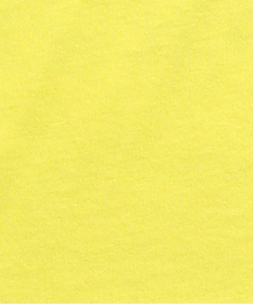 BREEZE（ブリーズ）の「アメリカンホリデーＴシャツ（Tシャツ/カットソー・キッズ・ライム/チャコール/グレー/ブルー・95/100/120/80/90/110/130/140）」の14枚目の写真