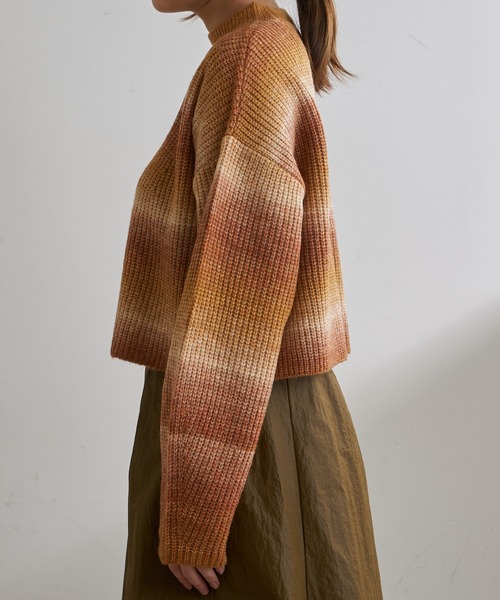 Lui's(ルイス)の「グラデーションショートニットトップス(ニット/セーター・レディース・パープル/キャメル/ミント・FREE)」の19枚目の写真