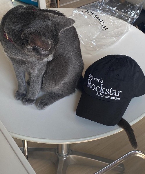 almo(アルモ)の「CAT刺繍キャップ(BQ)(キャップ・レディース・ブラック/グレー・FREE)」の3枚目の写真