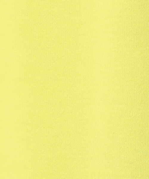 Purple&Yellow(パープルアンドイエロー)の「インレイ ラウンドネックプルオーバー(Tシャツ/カットソー・レディース・サックスブルー/イエロー×グリーン/ライトグレー・FREE)」の19枚目の写真
