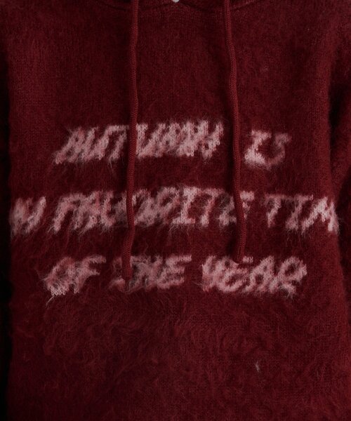 CIAOPANIC TYPY(チャオパニックティピー)の「モヘアタッチロゴニットフーディー(パーカー・レディース・ボルドー/グレー/ブルー/ブラック・MEDIUM/LARGE)」の22枚目の写真