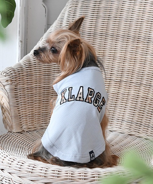 XLARGE/カモロゴメッシュタンク（ペットウェア）｜XLARGE