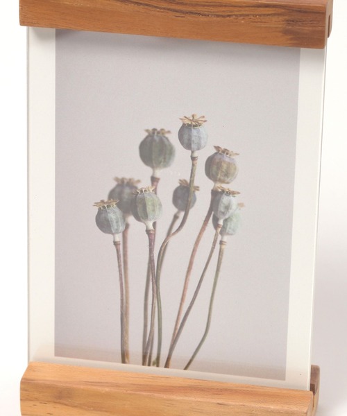 studio CLIP（スタディオクリップ）の「【daily CLIP】バインドフレームポスト（フォトフレーム・レディース・ナチュラル・FREE）」の11枚目の写真