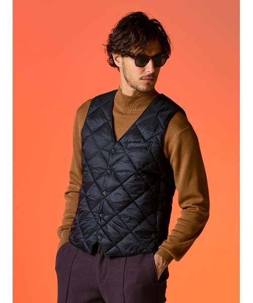 TAION× AOURE ドレスダウンジレ（ダウンベスト）｜AOURE（アウール）の