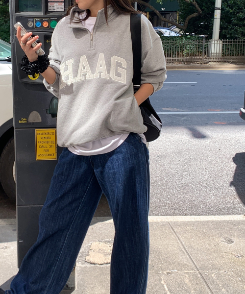 haag(ヘイグ)の「a haag half zip-up (grey)(スウェット・レディース・その他・FREE)」の3枚目の写真