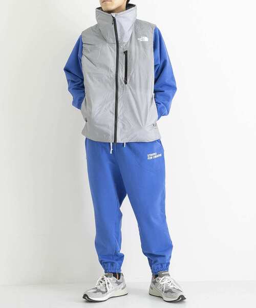 THE NORTH FACE（ザノースフェイス）の「THE NORTH FACE　Hedge Over Vest（ダウンベスト・メンズ・グレー/ゴールド系その他・LARGE）」の4枚目の写真