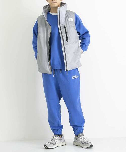 THE NORTH FACE（ザノースフェイス）の「THE NORTH FACE　Hedge Over Vest（ダウンベスト・メンズ・グレー/ゴールド系その他・LARGE）」の6枚目の写真