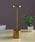 MGViGW[B[j́uStand LightsiƖjvbS[h