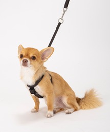 MANDARINE BROTHERS(}_uU[Y)̃NVbNn[lX S([h/n[lX/)