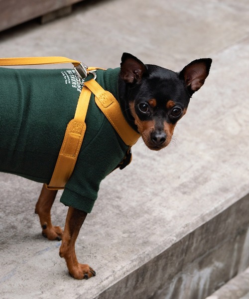 クラシックハーネス S（リード/ハーネス/首輪）｜MANDARINE BROTHERS