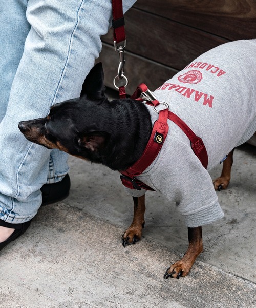 クラシックハーネス S（リード/ハーネス/首輪）｜MANDARINE BROTHERS