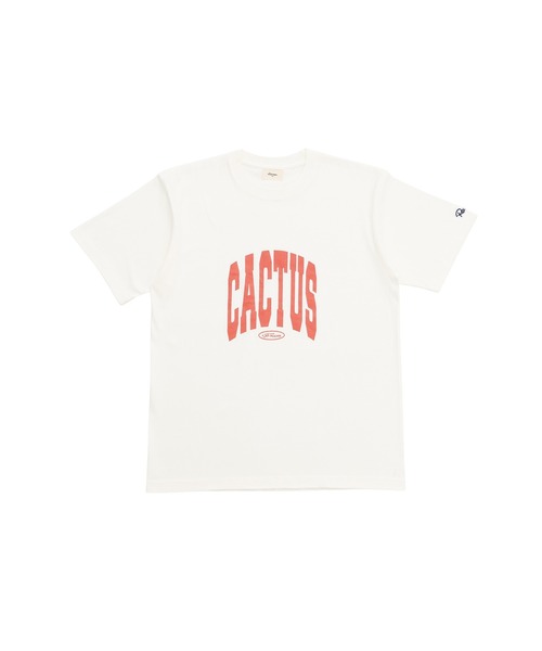 #Re:room(リルーム)の「カクタスヴィンテージクラックプリントTシャツ(Tシャツ/カットソー・メンズ・オフホワイト/ダークグリーン・M-L/S-M/L-XL)」の22枚目の写真
