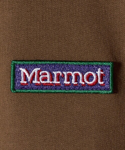 MARMOT(マーモット)の「【別注】<Marmot>GLR スタビリティ ロングスリーブ Tシャツ(Tシャツ/カットソー・メンズ・ホワイト/モカ・XL/L/M)」の16枚目の写真