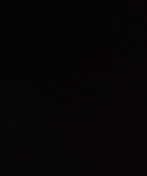 PIENI（ピエニ）の「PIENI M EXTRA PVC×ピッグレザー ショルダーバッグ（ショルダーバッグ・メンズ・ブラック・FREE）」の13枚目の写真