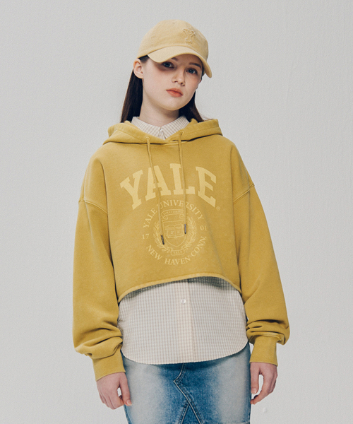 YALE(イェール)の「ウィメンズアーチロゴピグメントクロップフード_イエロー(パーカー・レディース・その他・SMALL/MEDIUM)」の2枚目の写真