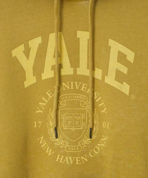YALE(イェール)の「ウィメンズアーチロゴピグメントクロップフード_イエロー(パーカー・レディース・その他・SMALL/MEDIUM)」の7枚目の写真