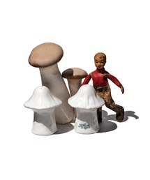 PUEBCO（プエブコ）の「CERAMIC SALT & PEPPER SHAKER SET / Mushroom（キッチンツール）」