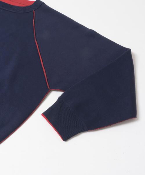 ITEMS URBANRESEARCH(アイテムズ アーバンリサーチ)の「ラグランスリーブリバーシブルニット(ニット/セーター・レディース・ピンク系その他/ブラウン系その他/ブルー系その他・FREE)」の18枚目の写真