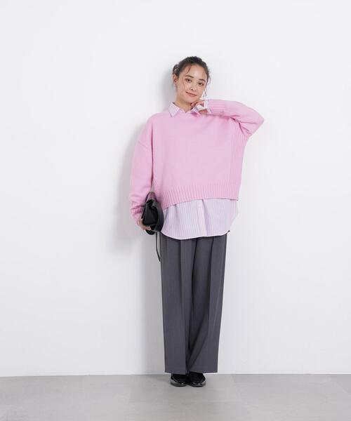 N.(N. Natural Beauty Basic)(エヌエヌナチュラルビューティーベーシック)の「クルーネックニット(ニット/セーター・レディース・ネイビー/レッド/ピンク・FREE)」の15枚目の写真