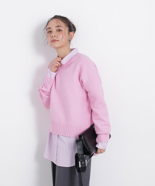 N.(N. Natural Beauty Basic)(エヌエヌナチュラルビューティーベーシック)の「クルーネックニット(ニット/セーター・レディース・ネイビー/レッド/ピンク・FREE)」の16枚目の写真