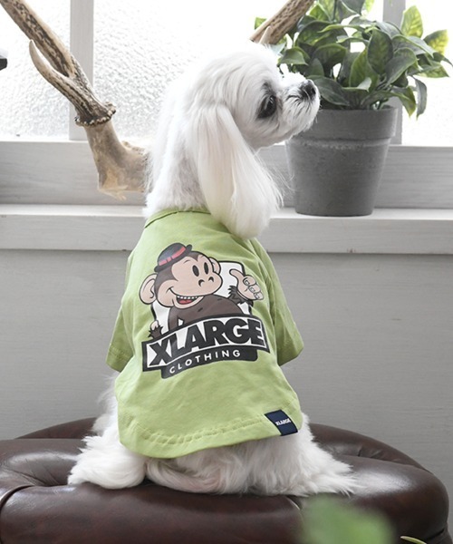 XLARGE(エクストララージ)の「XLARGE/キースT(ペットウェア・メンズ・グリーン/パープル・2L/3L/L/M/S/XS)」の1枚目の写真