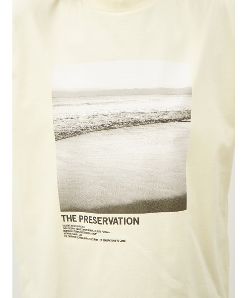 Mila Owen(ミラオーウェン)の「グラフィックフォトTシャツ【手洗い可能】(Tシャツ/カットソー・レディース・チャコールグレー/ホワイト/イエロー・0/1)」の9枚目の写真