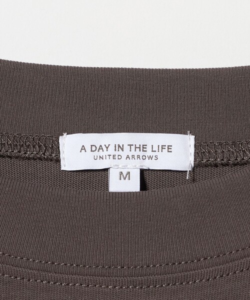 A DAY IN THE LIFE UNITED ARROWS(アデイインザライフユナイテッドアローズ)の「コットン ハイネック フレンチスリーブTシャツ <A DAY IN THE LIFE>(Tシャツ/カットソー・レディース・オフホワイト/ナチュラル/その他1/ロイヤルブルー/ダークブラウン/ピンク・M/S)」の8枚目の写真