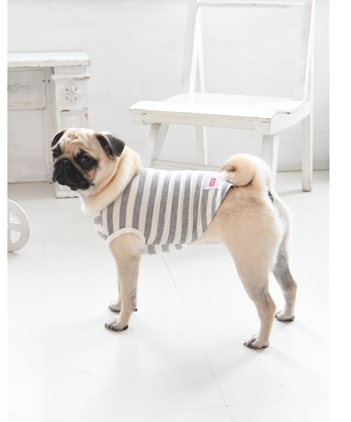 EDWIN/エドウイン/ドッグシャツ XS-3L/犬服(ドッグウェア)（ペット