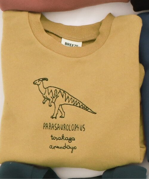 BREEZE（ブリーズ）の「恐竜刺繍トレーナー（スウェット・キッズ・オレンジ/グリーン/ネイビー/グレー/ブラック/イエロー/サックスブルー・100/110/130/140/80/90/120）」の6枚目の写真