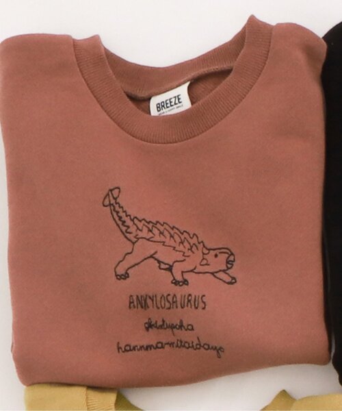 BREEZE（ブリーズ）の「恐竜刺繍トレーナー（スウェット・キッズ・オレンジ/グリーン/ネイビー/グレー/ブラック/イエロー/サックスブルー・100/110/130/140/80/90/120）」の7枚目の写真