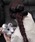 ammy.iGC~[hbgj́uy ammy. / GC~[hbg z t[ VV / wASiVVjvbubN