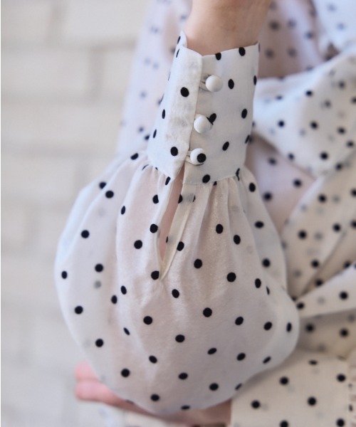 セール】Sheer Flocked Dot Tie Blouse シアーフロッキードット