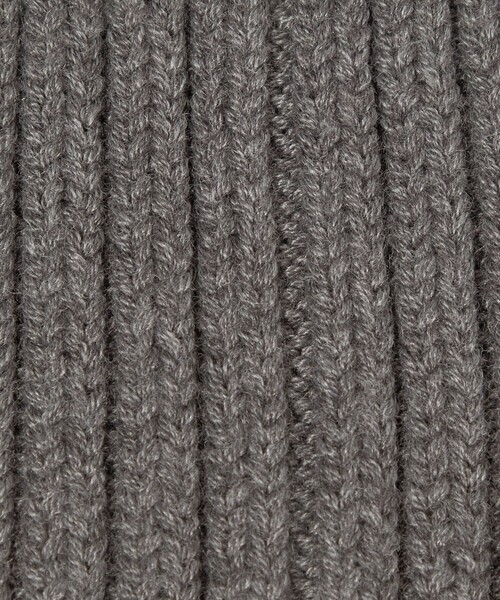 CITEN（シテン）の「＜CITEN＞クリアロゴニットキャップ（ニットキャップ/ビーニー・レディース・ロイヤルブルー/ブラック/グレー系・FREE）」の8枚目の写真