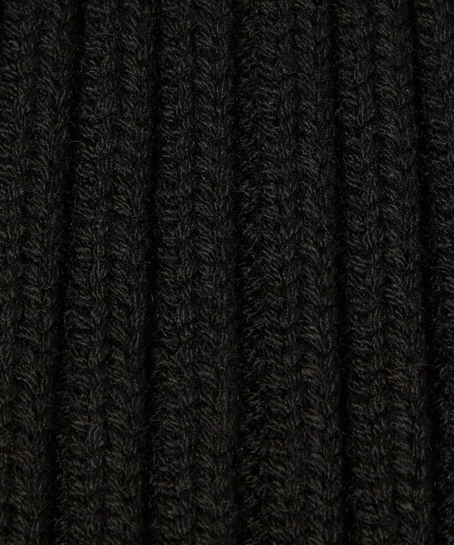 CITEN（シテン）の「＜CITEN＞クリアロゴニットキャップ（ニットキャップ/ビーニー・レディース・ロイヤルブルー/ブラック/グレー系・FREE）」の12枚目の写真