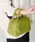 31 Sons de mode�i�g�����e�A���@�\���@�h�D�@���[�h�j�́u�S�[���h���S���`�[�t�n���h�o�b�O�i�n���h�o�b�O�j�v�b�O���[��